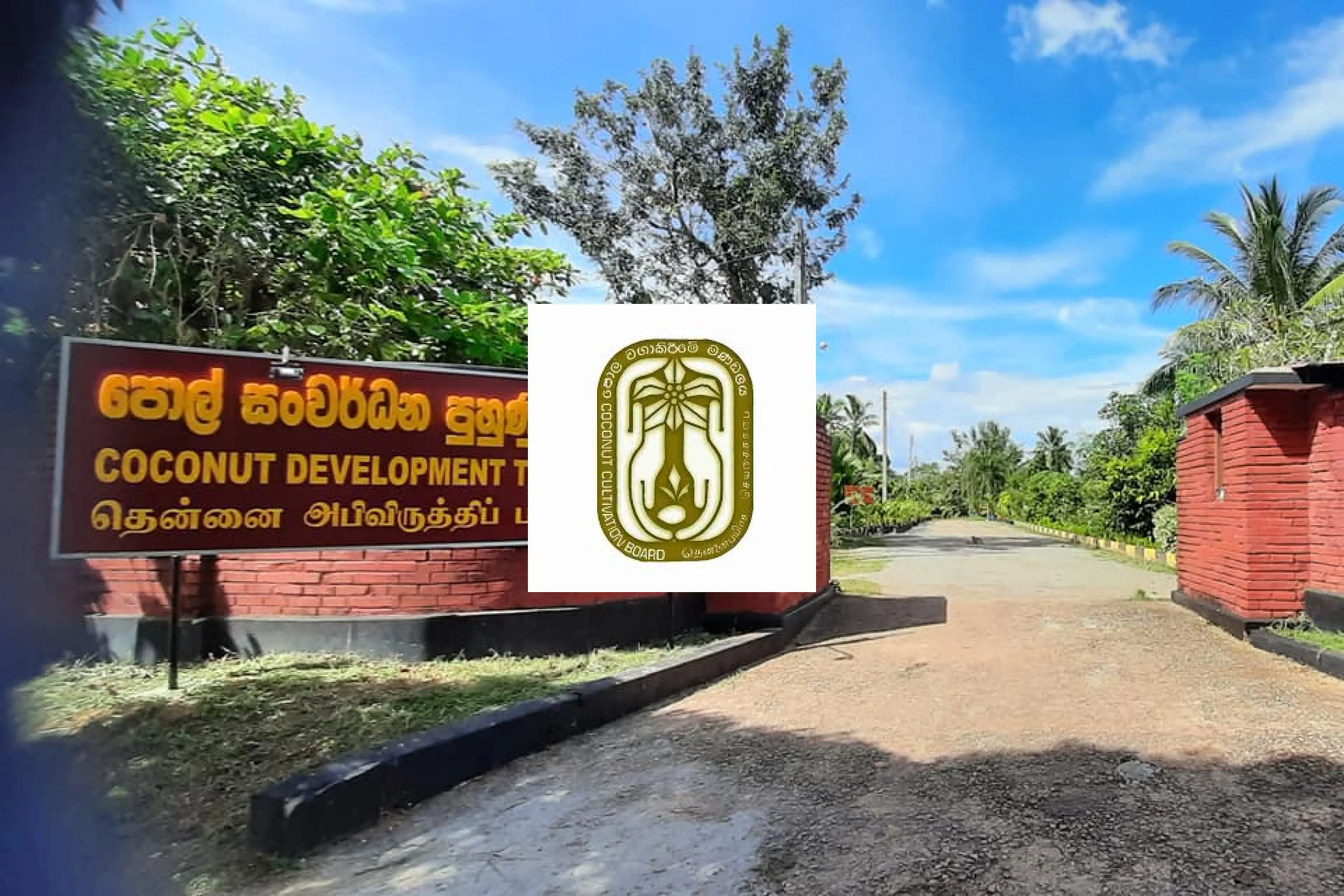 Coconut Cultivation Board Success Story